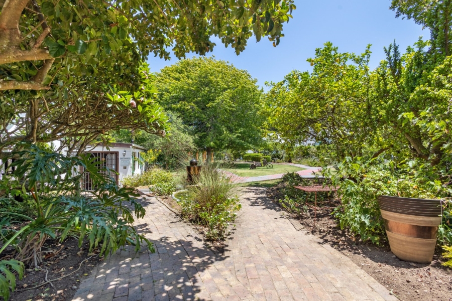 Commercial Property for Sale in Wittedrift Western Cape